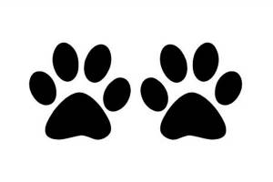 трафареты бабочки , цветы и не много кошек ))