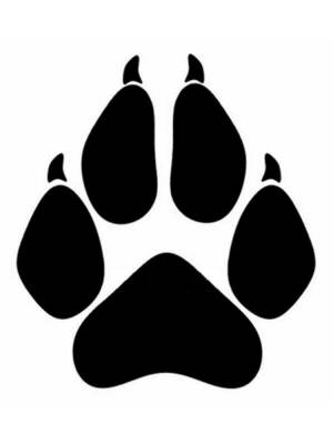 Трафареты Лапы