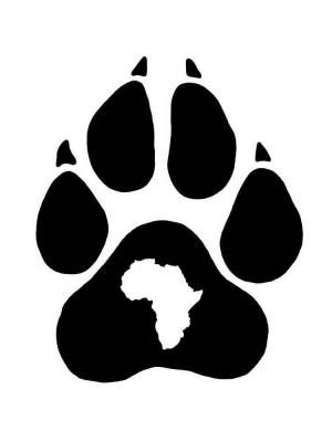 Трафареты Лапы