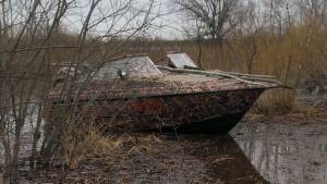 Покраска лодки в камыш -- Форум водномоторников