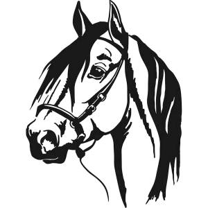 Трафареты Лошади