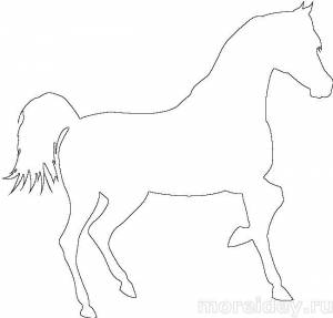 Контуры лошадей