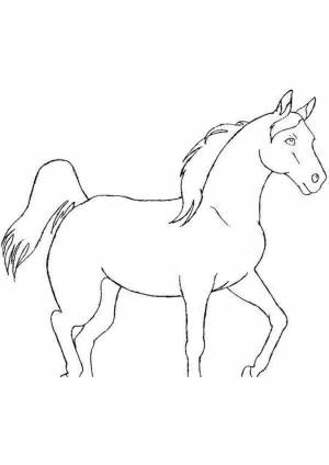 Рисунок лошадь шаблон