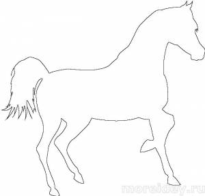 Контуры лошадей