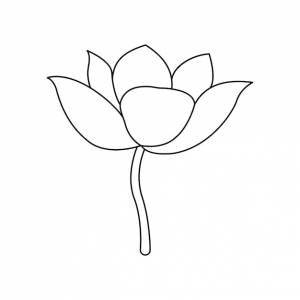Непрерывный однолинейный рисунок цветка белого лотоса шаблон для вашего дизайна