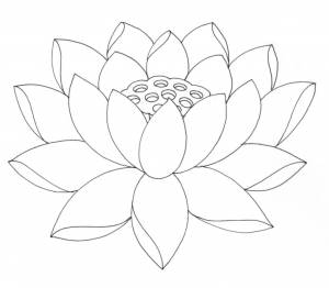 Трафарет цветка лотоса