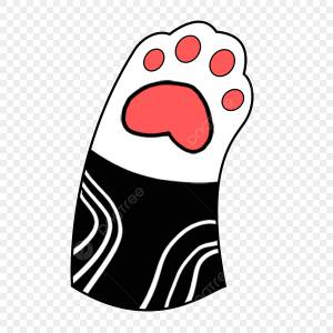 лапы кошки PNG и картинки пнг