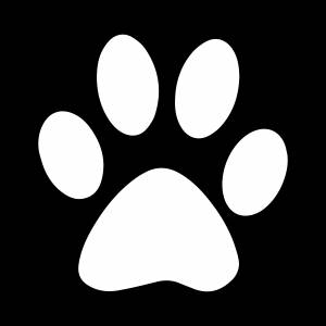 Раскраски лапа кошки