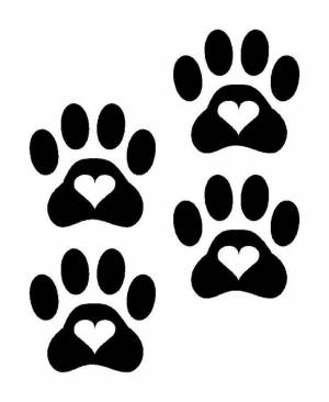 Раскраски лапки животных следы