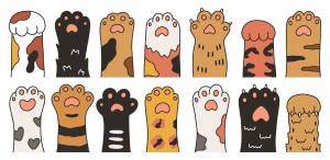 Мультяшная лапа кота