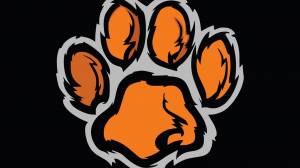 Трафарет лапки тигра