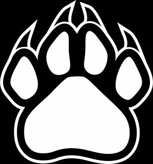 Лапа тигра рисунок