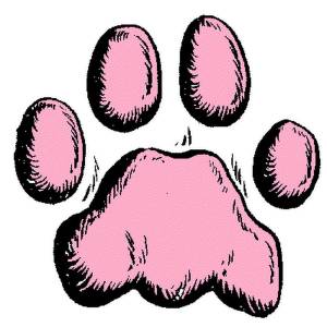 Раскраски лапа тигра