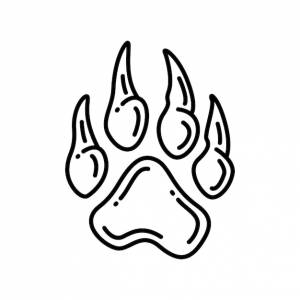 Следы большого кота лапа тигра в линейном арт-дизайне