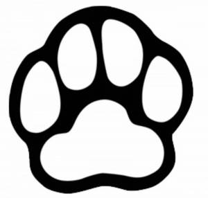 Раскраски лапки тигра