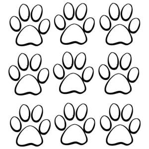 Раскраски лапки тигра