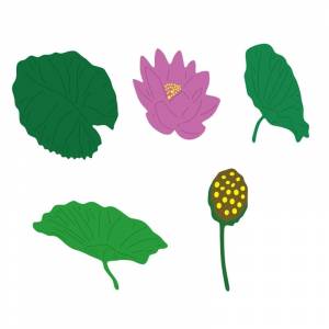 Цветок лотоса, листья и семена, металлические трафареты для DIY, скрапбукинг, высечки, бумажные карты, тисненое декоративное
