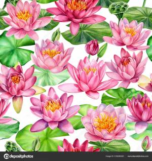 Цветы лотоса, рисованная вручную акварель, бесшовная, приглашение, упаковка и фоновый шаблон