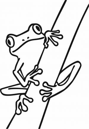 Трафарет Лягушка на ветке