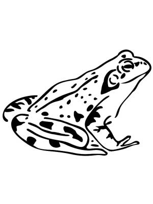 Трафареты Лягушки