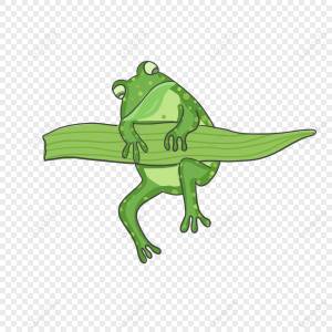 изображение лягушки PNG изображения с прозрачным фоном