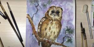 Как нарисовать сову