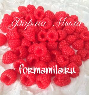 Малина 12 штук на форме