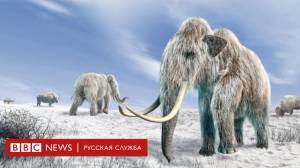 Оживить мамонтов