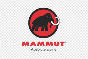 Mammut Sports Group AG Спортивные шорты Одежда мамонта, текст, спорт, логотип png
