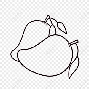 Прекрасный манго клипарт черно-белый,шаблон,манго,белое манго изображение_Фото номер 380240473_PSD Формат изображения_ru