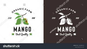 Vintage Mango Fruit Logo Illustration Suitable