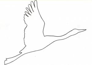 Шаблоны для оформления окон к 9 мая