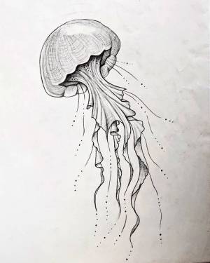 Рисунки медузы для срисовки