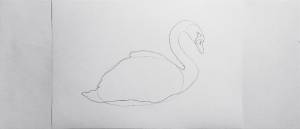 Как нарисовать лебедя