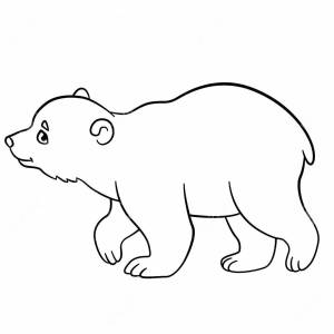 Раскраски Белый медведь шаблон