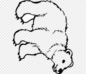 Гризли Гигантская панда Рисунок Раскраска, медведь, любовь, шаблон, белый png