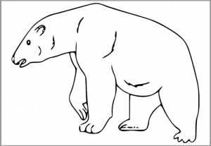 Шаблон белого медведя