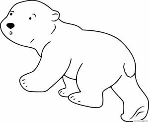 Раскраски белый медведь с медвежатами