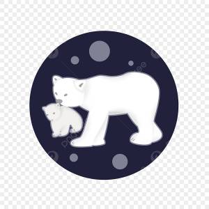 белый медведь PNG рисунок, картинки и пнг прозрачный для й загрузки