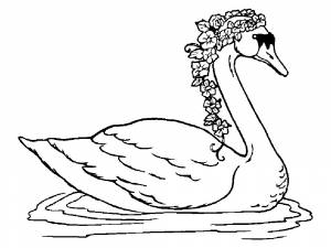 Раскраска Лебедь