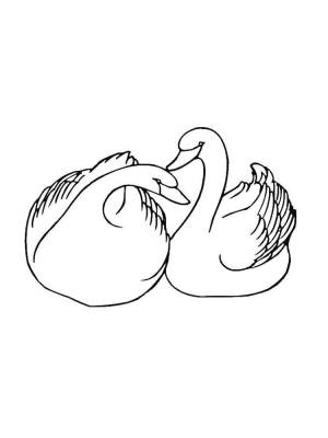 Раскраски Раскраска Два влюбленных лебедя 