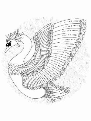 Раскраски Лебедь Антистресс