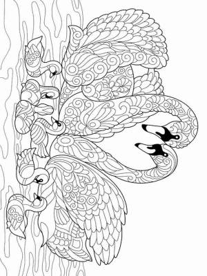 Раскраски Лебедь Антистресс