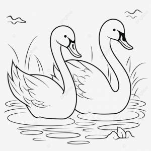 рисунок два лебедя плавают в озере раскраски наброски эскиз вектор PNG , озеро рисунок, рисунок крыла, плавание рисунок PNG картинки и пнг рисунок для й загрузки