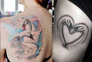 Тату лебедь, выбираем эскиз и стиль и любуемся фотографиями