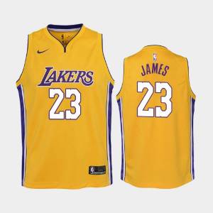 детская Los Angeles Lakers Icon 6 Lebron James Gold баскетбольная майка NBA