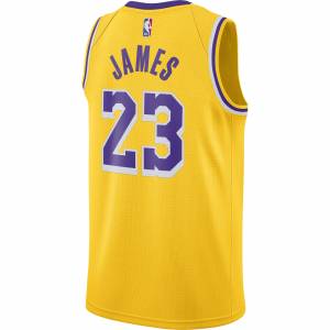 Джерси LeBron James Lakers Icon Edition