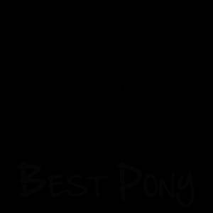 Трафарет пони