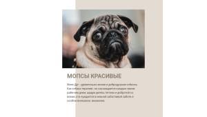 Мопсы красивы HTML5 шаблон