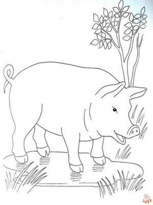 Рисунки свиней, которые можно раскрашивать, чтобы дети часами развлекались